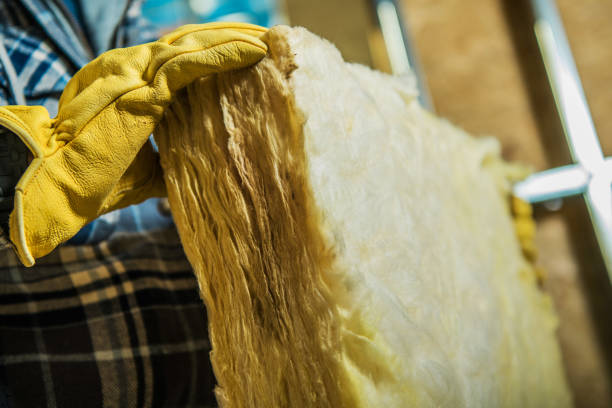 Best Cellulose Insulation in Aubrey, TX