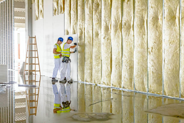 Best Insulation Maintenance and Repair in Aubrey, TX